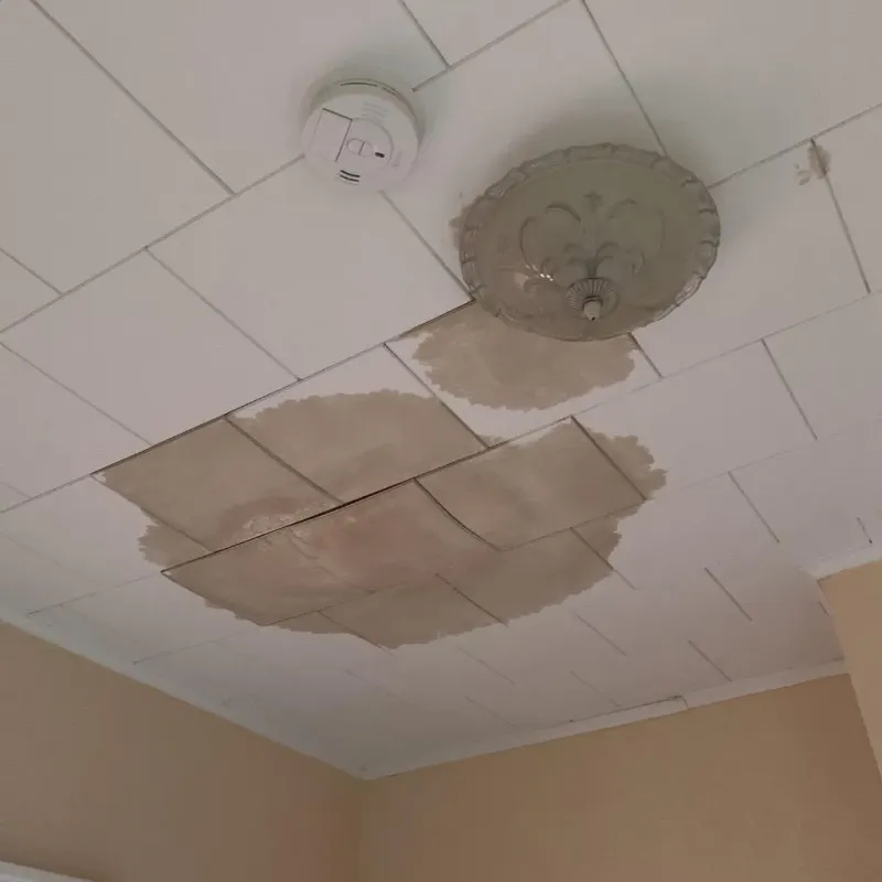 Ceiling Water Damage Repair in Clemmons, NC